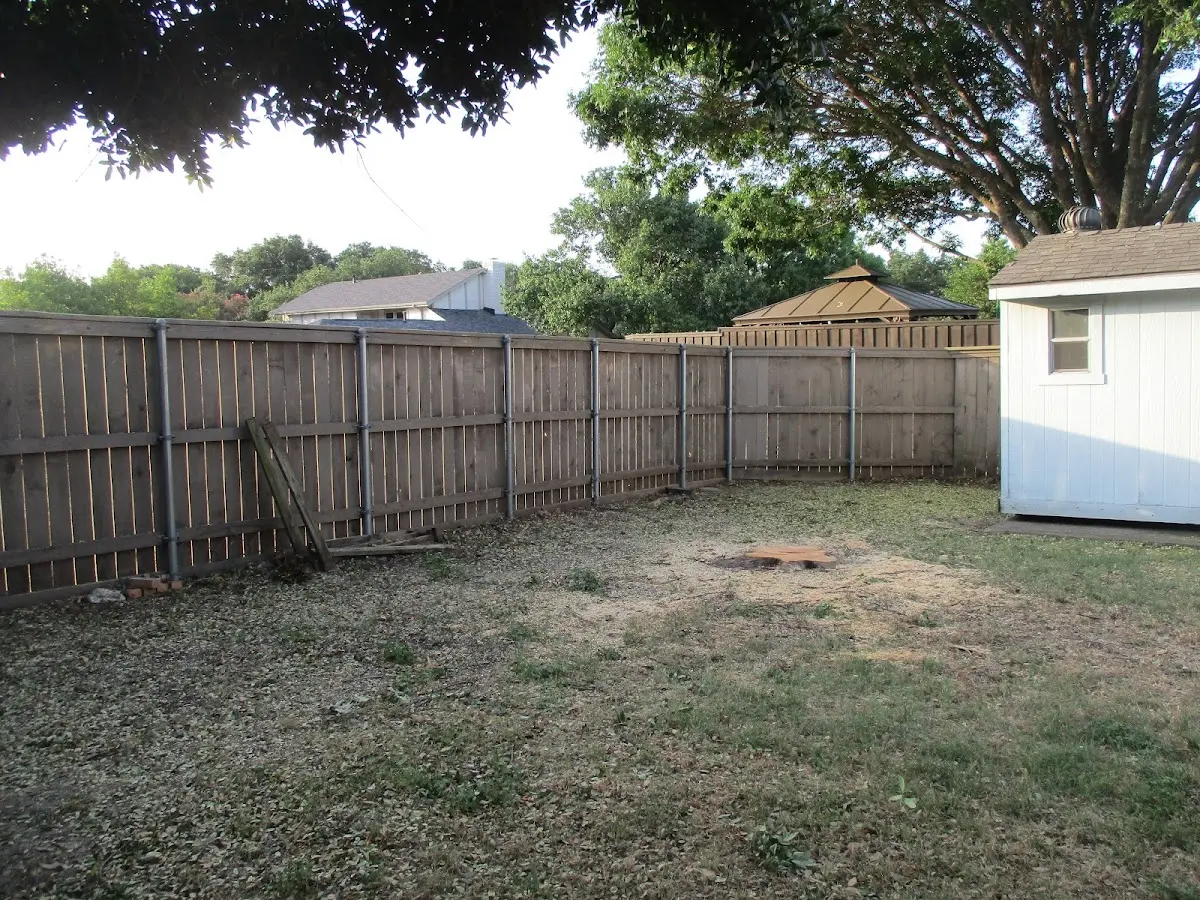 Cleared yard after professional tree removal in Essex Fells