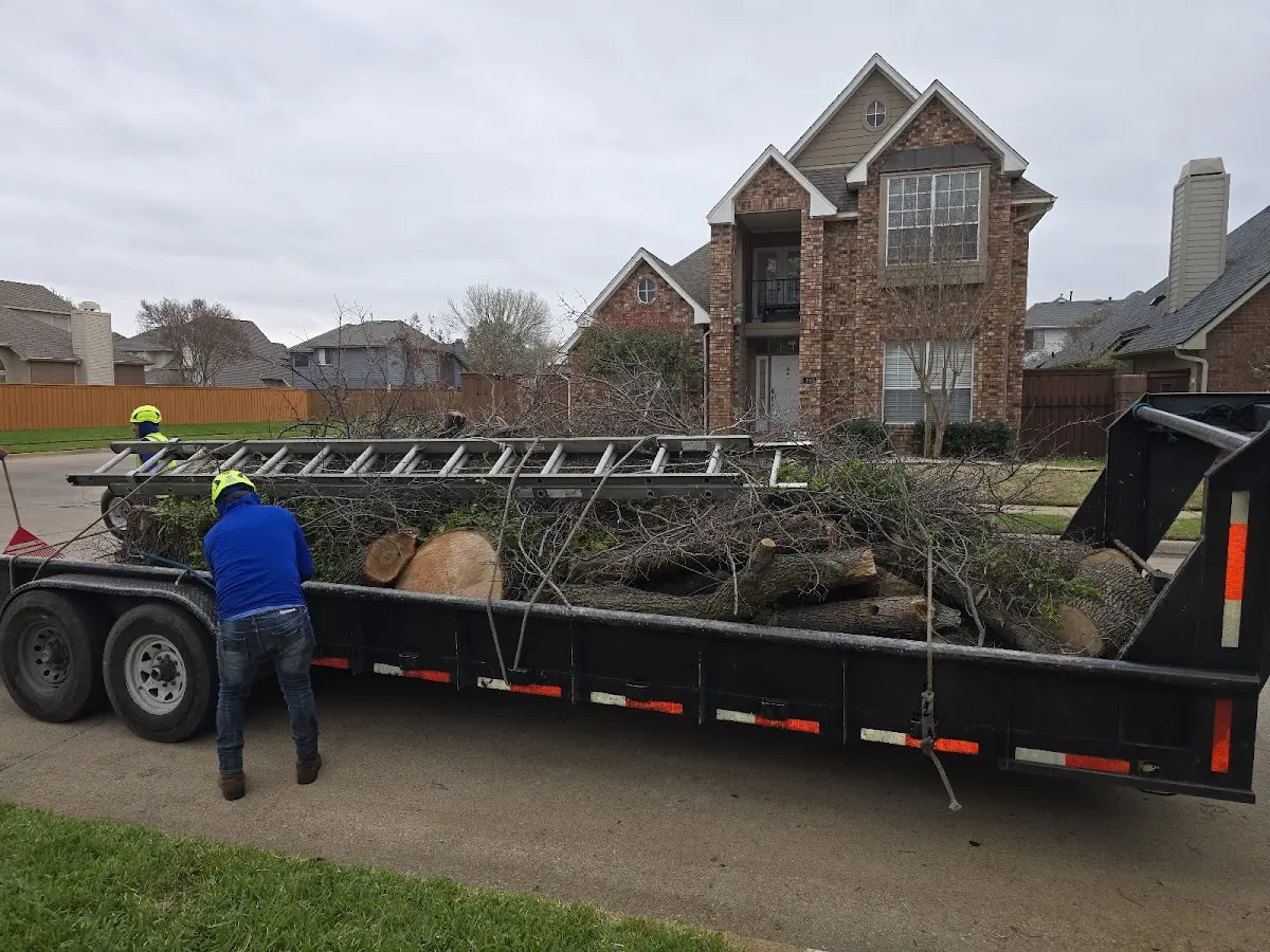 Expert Tree Fertilization with proper safety equipment in Essex Fells